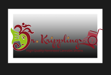 Dr Krippling Autoflowering Seeds