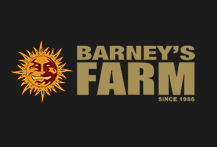 Barneys Farm Feminized Seeds