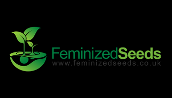 Feminised Seeds Company