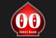 00 seeds Feminized