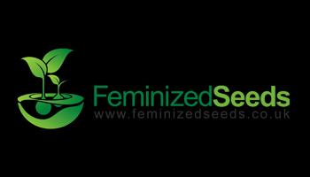 Feminised Seeds Feminized