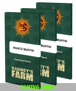 Runtz Muffin