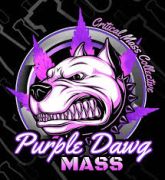 Auto Purple Dawg Mass