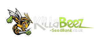 KillaBeez SeedBank