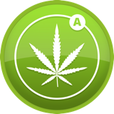 Autoflowering strains Autoflowering strains