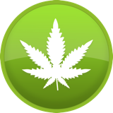 Indica Strains Indica Strains