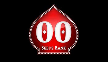 00 Feminized Seeds