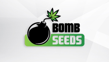Bomb Seeds Feminized