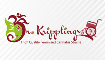 Dr Krippling Feminized Seeds