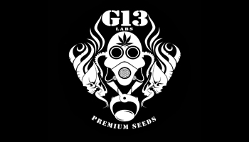 G13 Labs Seeds Autoflowering