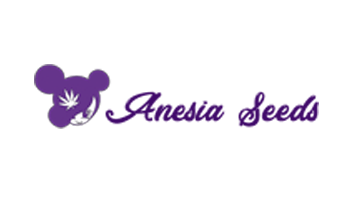 Anesia Autoflowering