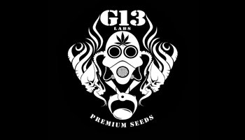 G13 Labs Feminized Seeds