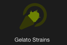 Gelato Strains