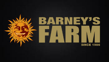 Barneys Farm Feminized Seeds