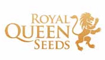 Royal Queen Feminized Seeds
